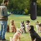 Ultrasonic Dog Repeller