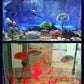 💕💕LED Aquarium Colorful Air Bubble Light