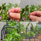 🔥HOT SALE 50% OFF🚿360° Curved Garden Automatic Irrigation System