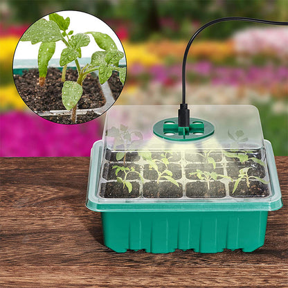 ⏰Limited offer 62% Discount🔥Seed Starter Trays with Grow Light
