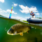 🎣Spezialisiertes schwimmkörperloses Feder-Rig-Set für den Fang großer Wasserlebewesen