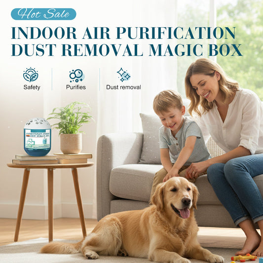 🔥Limited-Time Pre-Sale⏰Indoor Air Purification Dust Removal Magic Box🏠🌿