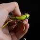 Father's Day Pre Sale-30% OFF?Spider Soft Lure Fishing Lures