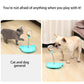 Interactive Cat Feeding Toys