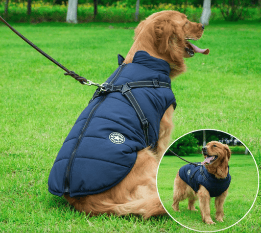 Christmas Sale 🎅🐕 Winter Waterproof Dog Jacket with Built-In Carrying Straps