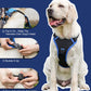 Dog Harness and Retractable Leash Set All-in-One🎅 Christmas For The Dog‘s Gift🎅