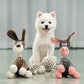 Plush Squeak Pet Dog Toy