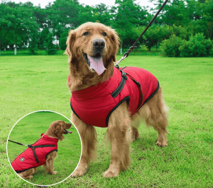 Christmas Sale 🎅🐕 Winter Waterproof Dog Jacket with Built-In Carrying Straps