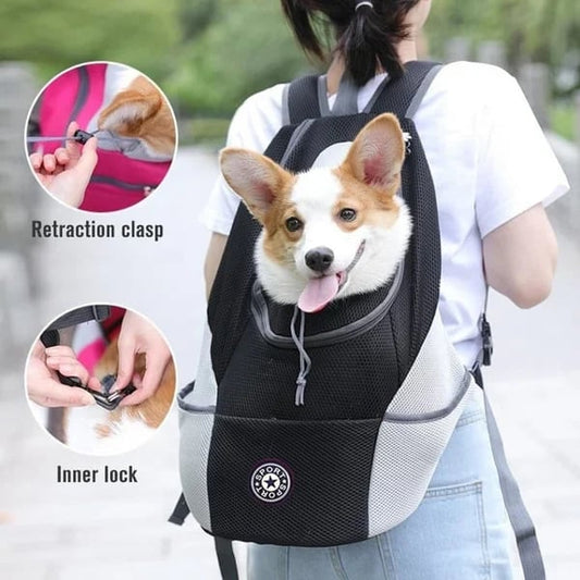 🔥BIG SALE 49% OFF🔥2023 Summer Dog Backpack🐶